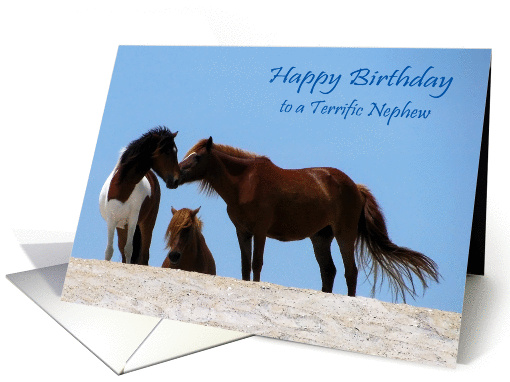 Birthday To Nephew, wild horses on a beach against a... (828161)