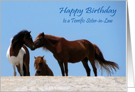 Birthday to Sister-in-Law, wild horses on a white beach, blue sky card