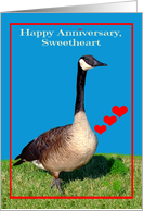 Anniversary to Sweetheart, general, Canada Goose with red hearts card