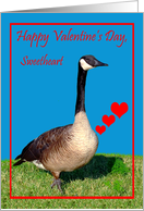 Valentine’s Day To Sweetheart, Canada Goose with hearts on blue card