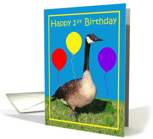 1st Birthday, Canada Goose with purple, red and yellow balloons card