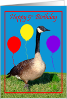 5th Birthday, Canada Goose with purple, red and yellow balloons card