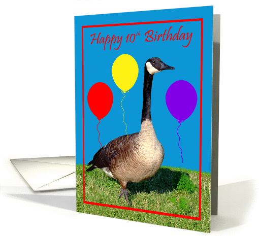 10th Birthday, Canada Goose with purple, red and yellow balloons card