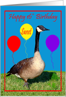 16th Birthday, Sweet, Canada Goose, purple, red and yellow balloons card