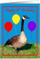 18th Birthday, Canada Goose with purple, red and yellow balloons card