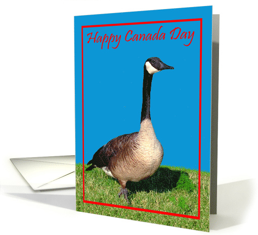 Canada Day Card with a Goose Standing in the Grass against... (831306)