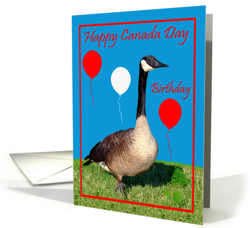 Birthday On Canada Day, general, Goose with balloons on blue card