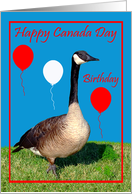 Birthday On Canada Day, general, Goose with balloons on blue card