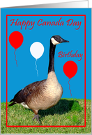 Birthday On Canada...