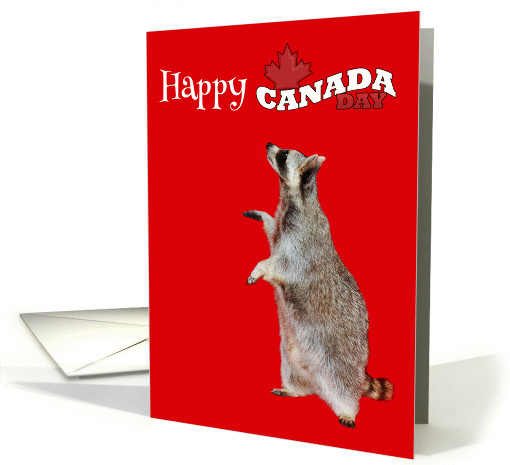 Canada Day, general, Raccoon on a red background, maple leaf card