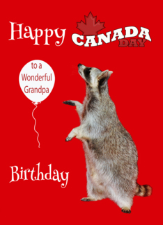 Birthday On Canada Day To Grandpa, Raccoon with balloon, leaf