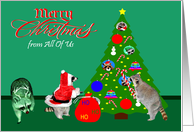 Christmas from All Of Us, Raccoons with Christmas tree on green, red card