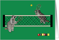 Blank Note Card, Any Occasion, Raccoons playing tennis, rackets card