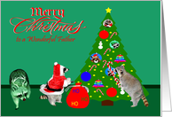 Christmas to Father, Raccoons with Christmas Tree on green, red text card