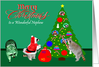 Christmas to Nephew, Raccoons with Christmas tree on green, red text card