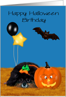 Birthday on Halloween, general, Pomeranian as jack-o-lantern card