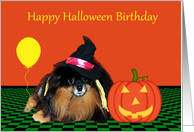 Birthday on Halloween, Pomeranian as witch, jack-o-lantern, balloon card