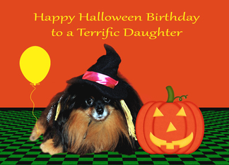 Birthday on Halloween to Daughter, Adorable Pomeranian as a witch