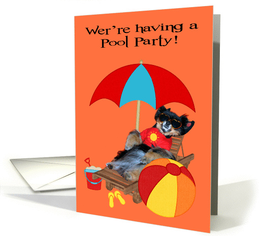 Invitations, Pool Party, Pomeranian in sunglasses with beach ball card