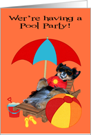 Invitations, Pool Party, Pomeranian in sunglasses with beach ball card