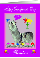 Grandparents Day to Grandma, Raccoons with flowers on purple card