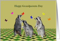 Grandparents Day, general, Raccoons playing with butterflies, green card