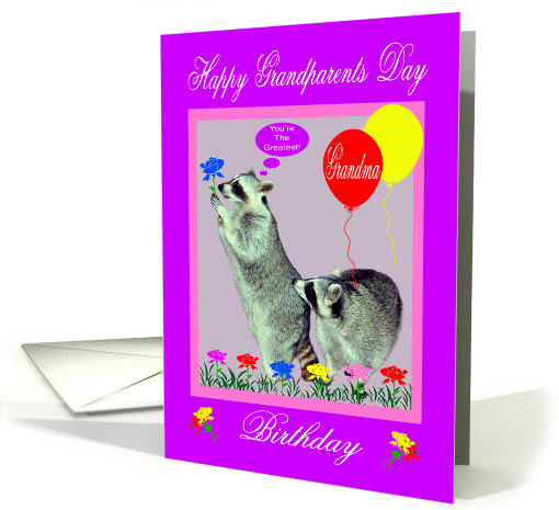 Birthday On Grandparents Day to grandma, Raccoons with flowers card