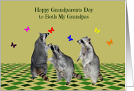 Grandparents Day to Both Grandpas, Raccoons playing with butterflies card