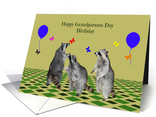 Birthday On Grandparents Day, Raccoons playing with butterflies card