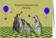 Birthday On Grandparents Day, Raccoons playing with butterflies card