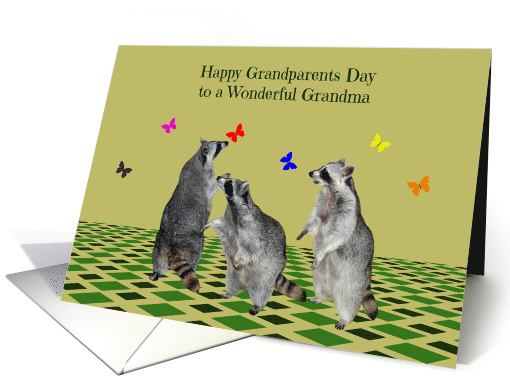 Grandparents Day to Grandma, Raccoons playing with butterflies card