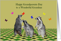 Grandparents Day to Grandma, Raccoons playing with butterflies card