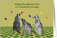 Grandparents Day to Grandpa, Raccoons playing with butterflies card