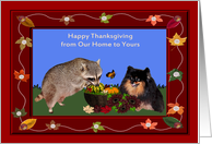 Thanksgiving from Our Home to Yours, Raccoon and Pomeranian card