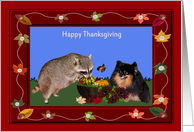 Thanksgiving, general, Raccoon and Pomeranian with basket of gorges card