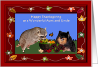 Thanksgiving to Aunt and Uncle, Raccoon and Pomeranian with basket card