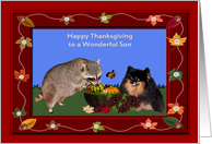 Thanksgiving to Son, Raccoon and Pomeranian with basket of gorges card