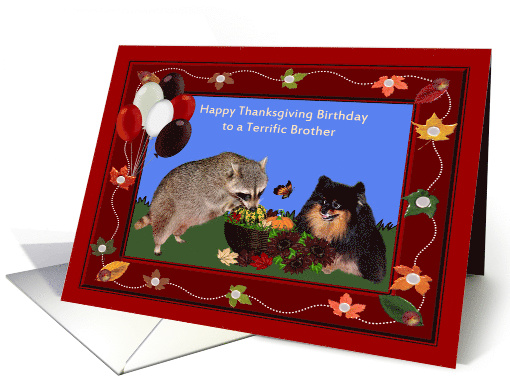Birthday On Thanksgiving to Brother, Raccoon and Pomeranian card