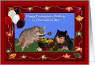Birthday On Thanksgiving to Dad, Raccoon and Pomeranian, pumpkin card