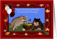 Birthday On Thanksgiving to Grandpa, Raccoon and Pomeranian card