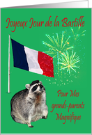 Bastille Day To Grandparents, French, raccoon wearing beret, fireworks card