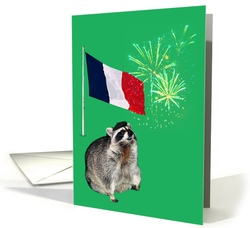 Any Occasion Blank Note Card, raccoon wearing beret with... (838105)