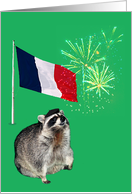 Any Occasion Blank Note Card, raccoon wearing beret with fireworks card