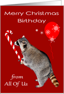 Birthday on Christmas from All Of Us, Raccoon eating candy cane, red card