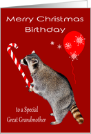 Birthday on Christmas to Great Grandmother, Raccoon, candy cane card