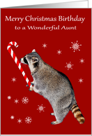 Birthday on Christmas to Aunt, Raccoon eating a big candy cane card