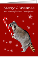 Christmas to Great Grandfather, Raccoon eating a big candy cane, red card