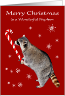 Christmas to Nephew, Raccoon eating a big red and white candy cane card