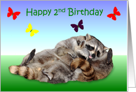 2nd Birthday, adorable raccoons wrestling on a gradient background card