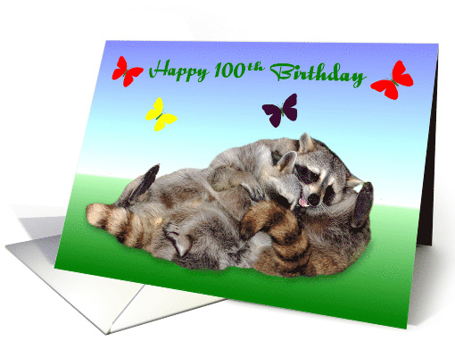 100th Birthday, adorable raccoons wrestling on a gradient... (841470)